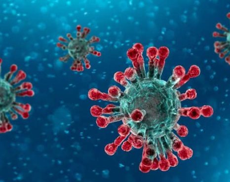 Pandemia do coronavírus, epidemia de pânico e a evolução da humanidade